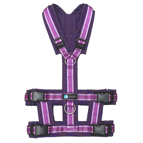 AnnyX SAFETY escape proof harness Purple/Stripe - Limited Edition