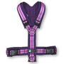 AnnyX Y-harness FUN Purple/Stripe - Limited Edition